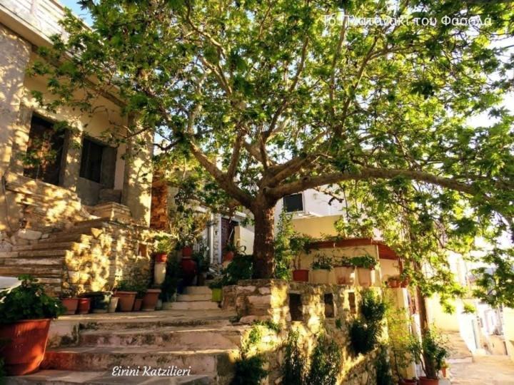 Fasolas Square 15m2 Is Located 30 Stairs Up From The Main Road And It Is In The Old Market Fasolas And Next To The Museums * Filótion